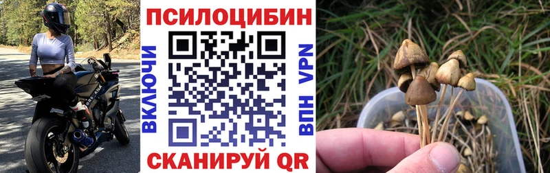 Галлюциногенные грибы ЛСД  купить   Пионерский 
